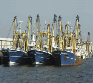 La préservation des ressources halieutiques européennes