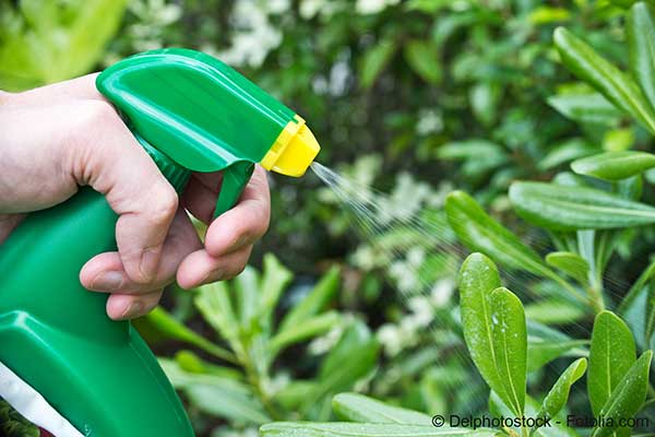 Ségolène Royal cherche à s’opposer à la vente libre des pesticides cancérogènes aux particuliers