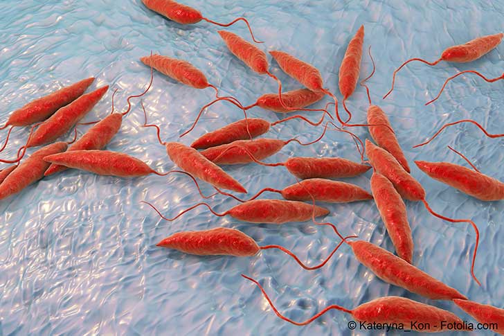 La protection contre les maladies tropicales négligées se renforce