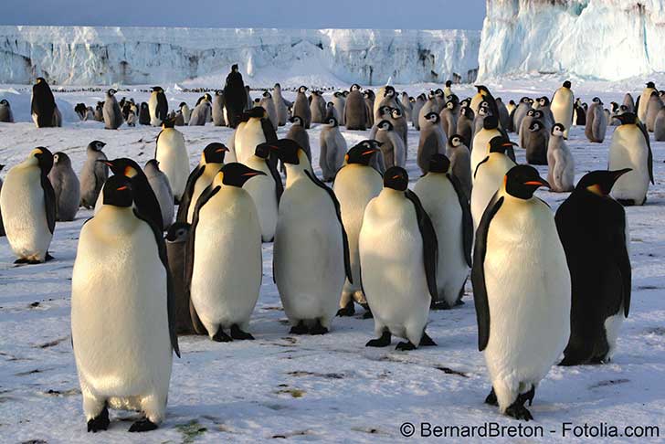 Ségolène Royal a l’art et la manière de valoriser un lot de consolation