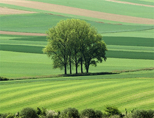 La France est la première puissance agricole européenne