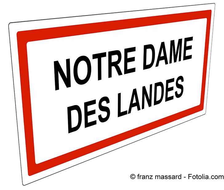 Le sort du transfert de l’aérodrome de Nantes se jouera avant la fin du mois