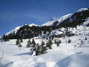Indemnisation des pertes et dommages consécutifs à des accidents de ski