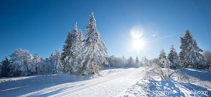 Montagne 2026 : entre abondance de neige et incertitudes climatiques