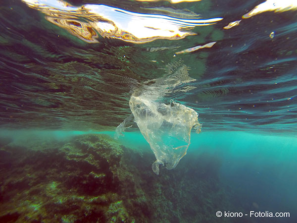 Les océans ne peuvent pas devenir notre poubelle aux plastiques