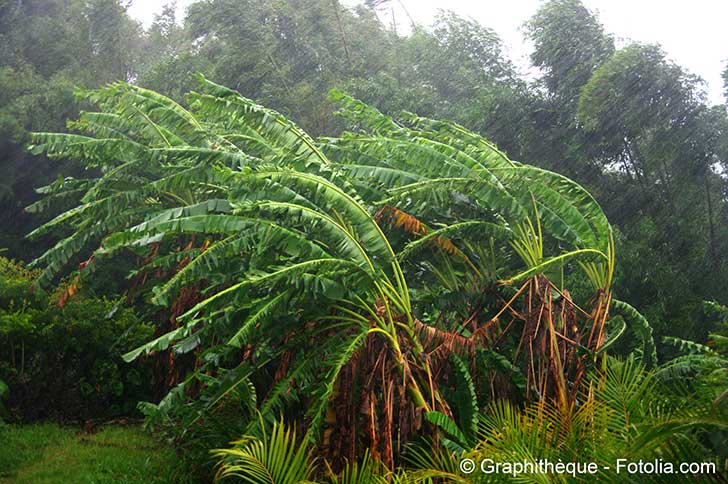 Irma sera un ouragan coûteux pour la France