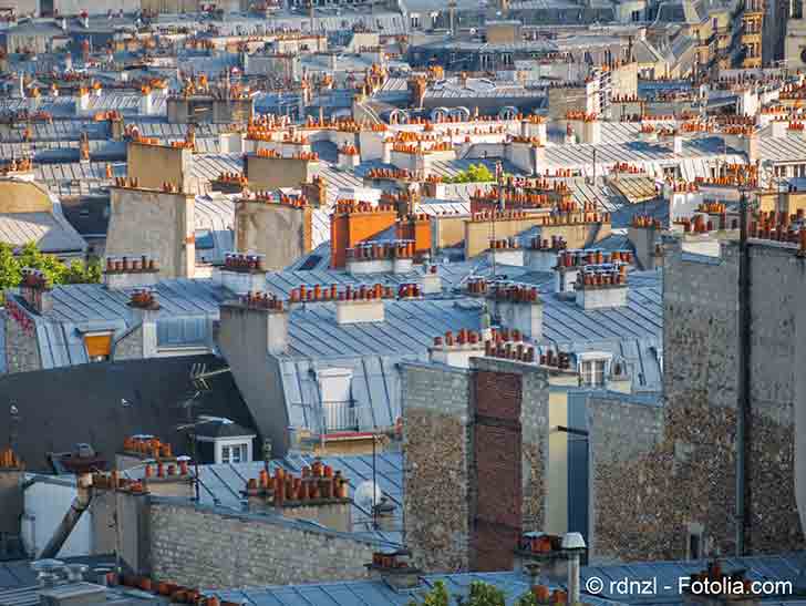 Paris participe à la lutte contre le réchauffement climatique
