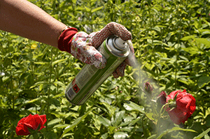 A terme, les pesticides ne seront plus utilisés dans les espaces verts et les jardins