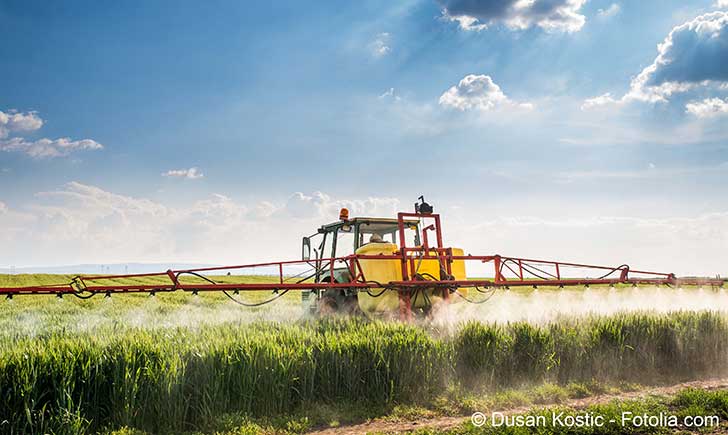 Il faut en finir avec le glyphosate un pesticide controvers