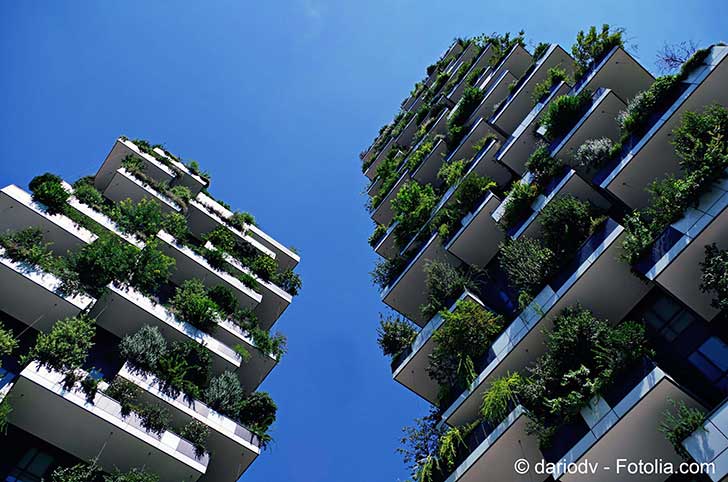 L’agriculture s’installe en ville