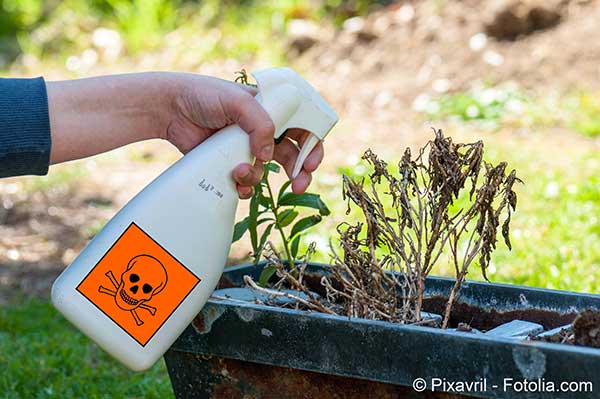 La lutte contre les herbicides dangereux pour la sant sintensifie
