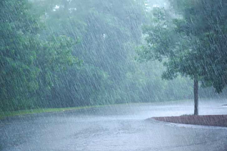 Les pluies qui viennent de tomber apportent un rpit en France aprs un t sec