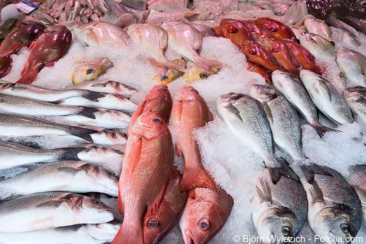 Les produits de laquaculture se substituent  ceux de la pche en haute mer