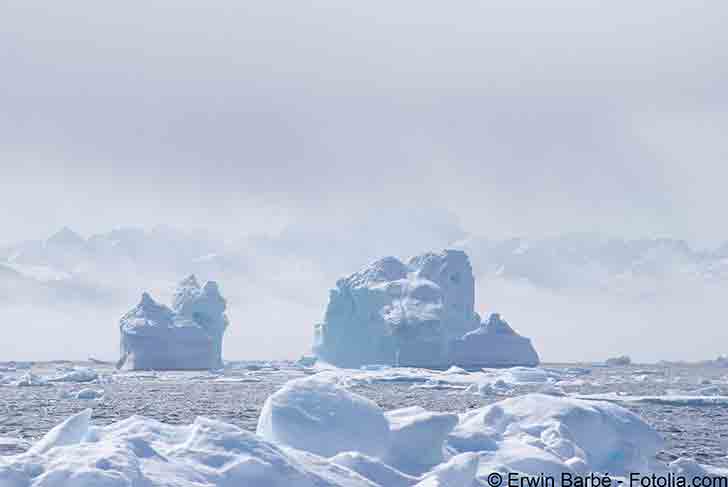 Les principaux journaux mdicaux alertent sur le climat