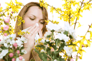 Les pollens des graminées au potentiel allergisant puissant sont arrivés
