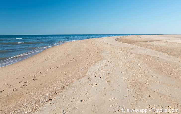 Trump le climatosceptique veut sauver une Île destinée à être avalée par la mer