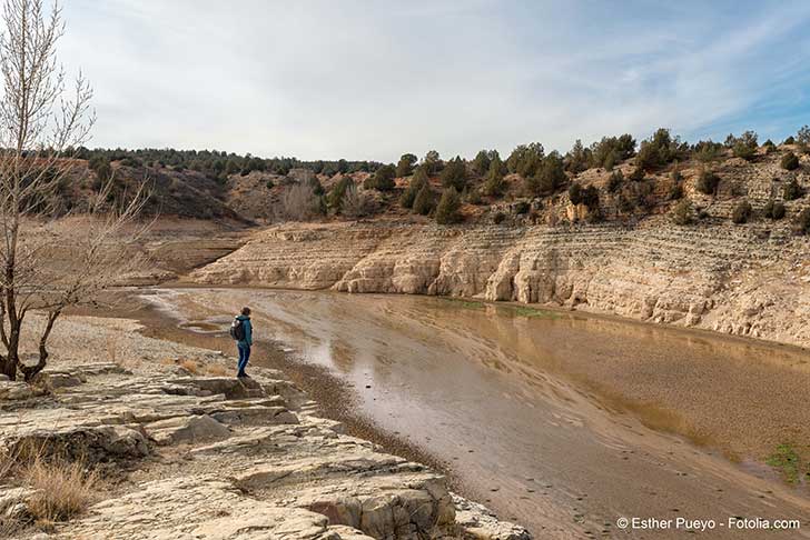 Les terres se dgradent dans le monde depuis une vingtaine dannes