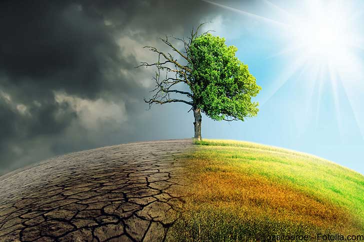Quand je serai grand je voudrais tre vivant disent les jeunes en marchant pour le climat