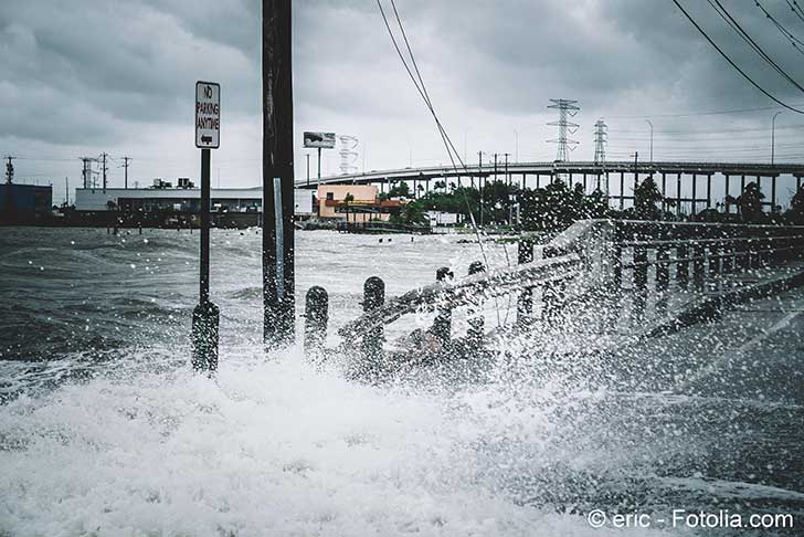 Les grandes entreprises américaines lâchent Donald Trump sur le climat