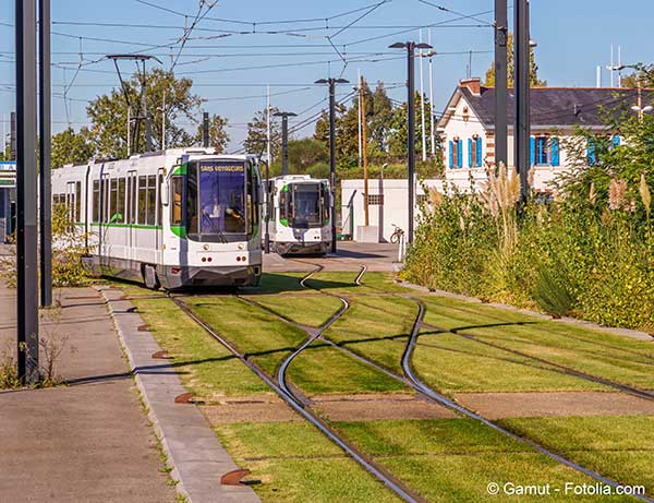 La gratuit des transports en commun n