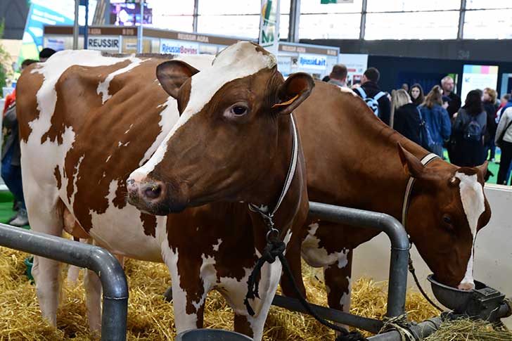 Apaiser la colre des agriculteurs, avant le Salon de l