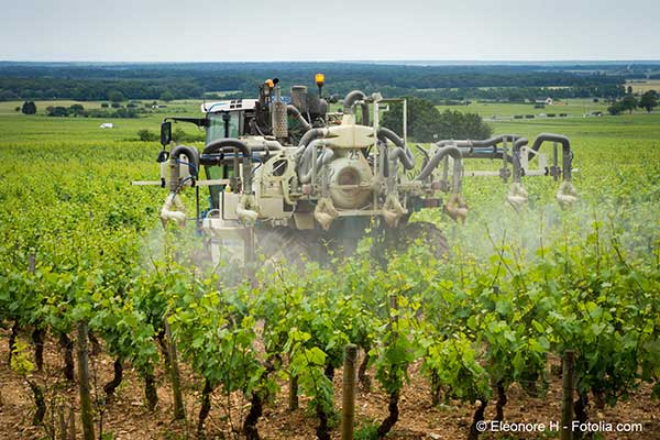 La médiatrice de l’Europe dénonce le laxisme de la Commission face aux pesticides