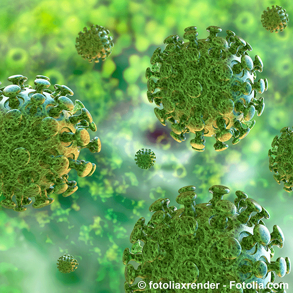 Alerte aux infections à coronavirus du syndrome respiratoire, le MERS-CoV